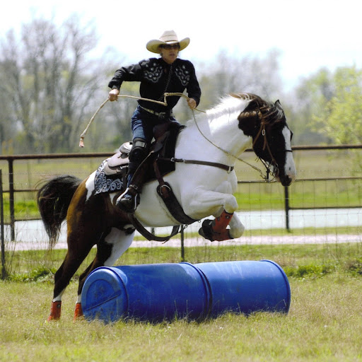 Linda Vickers Photo 34