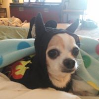 Vicki Mayer Photo 18