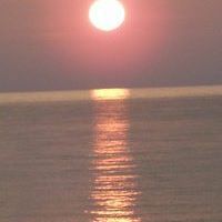 Justin Kerr Photo 26 Justin Kerr Photo 26