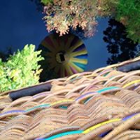 Kelly Krause Photo 41