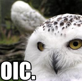 Timothy Bozarth Photo 2