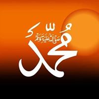 Naveed Yousaf Photo 4