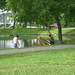 Lynn Simmons Photo 20