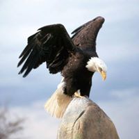 Bertha Romero Photo 21