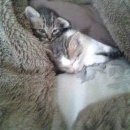 Blanca Ponce Photo 10