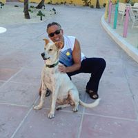 Steven Epstein Photo 30