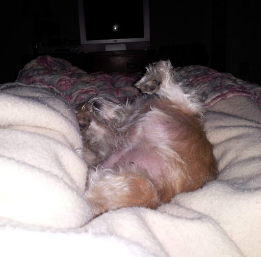 Jenny Barker Photo 17