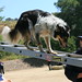 Michele Vaughn Photo 20