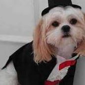 Amanda Button Photo 9