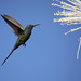 Sheri Bird Photo 14