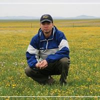 Bin Zheng Photo 12
