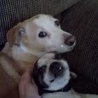 Geri Martin Photo 39