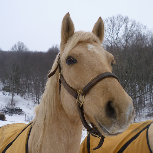 Teresa Crouse Photo 8