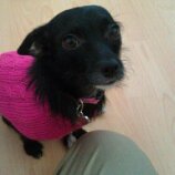 Christina Carr Photo 33