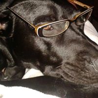 Rebecca Berg Photo 22 Rebecca Berg Photo 22