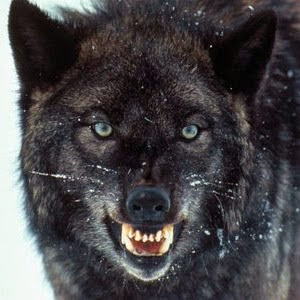 Denis Jimenez Photo 30