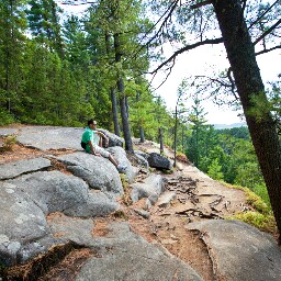 Allen Hoang Photo 15