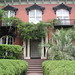 Paula Mercer Photo 15
