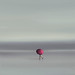 Steven Johnston Photo 38