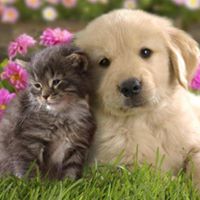 Deborah Bittner Photo 4