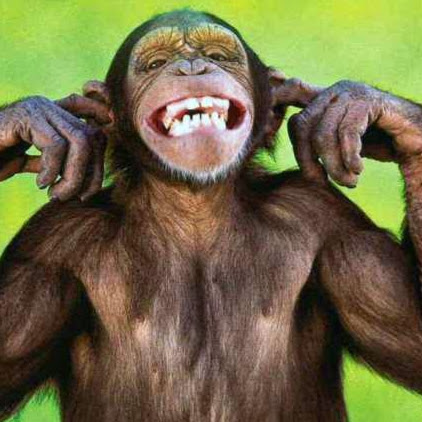 Nancy Gregg Photo 24