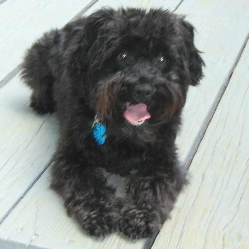 Rachel Mcallister Photo 13