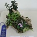Jill Fischer Photo 11