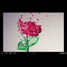 Debra Coward Photo 1