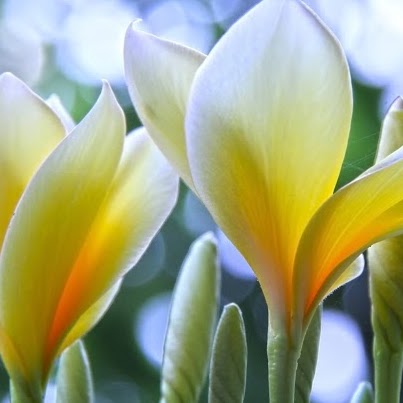 Mary Beaty Photo 33