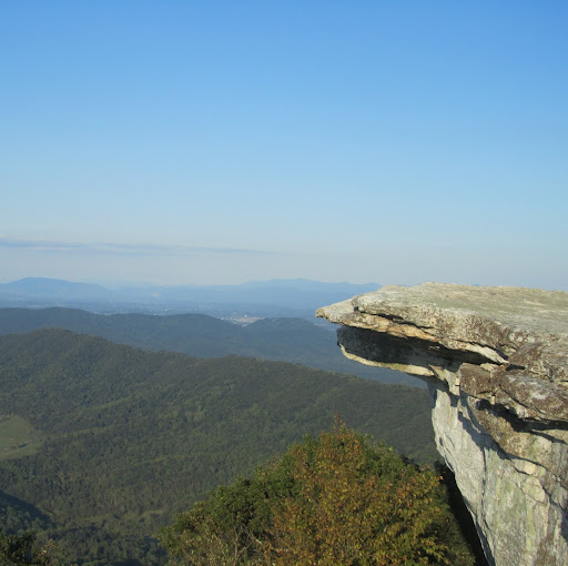 Vicki Weaver Photo 27