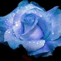 Jennifer Pridemore Photo 9