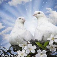 Nancy Propst Photo 16