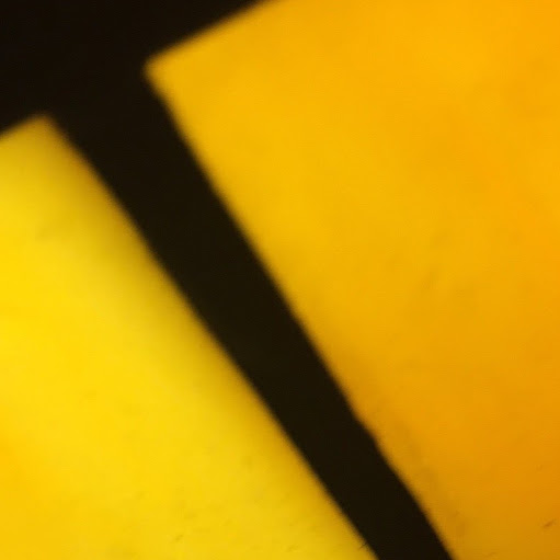 Miguel Corona Photo 15