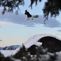 Leon Robbins Photo 14 Leon Robbins Photo 14