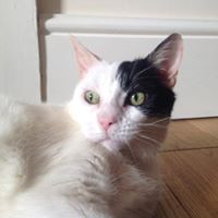 Lynne Mclaughlin Photo 12