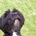 Jill Barton Photo 12