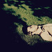Elizabeth West Photo 35