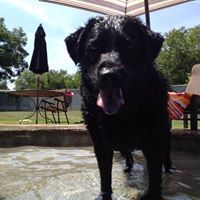 Jerri Walker Photo 19