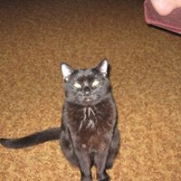 Janet Weatherly Photo 7