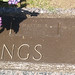 Martin Cummings Photo 9