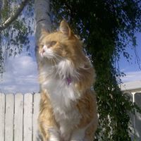 Amber Chapman Photo 14