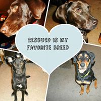 Jillian Simmons Photo 20