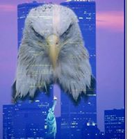 Jerry Collins Photo 9