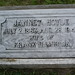 Elizabeth Hoyle Photo 26