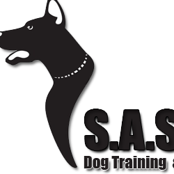 Sarah Carmody Photo 20