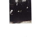 Mary Dorsey Photo 7