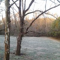 Timothy Hull Photo 5