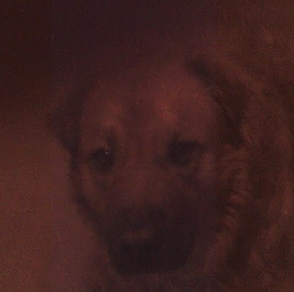 Crystal Bates Photo 29