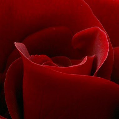 Debra Coleman Photo 12