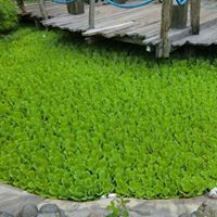 Lina Soriano Photo 10